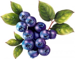 blueberries.jpg